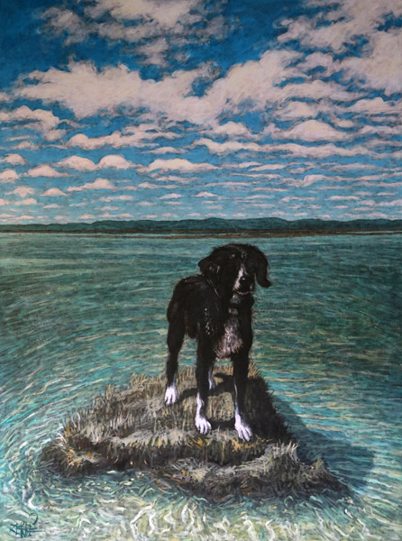 Cliquer pour agrandir