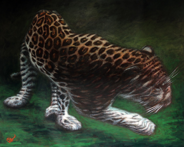 Cliquer pour agrandir